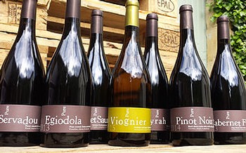 Chateau de Brau PURE Pinot Noir 2015