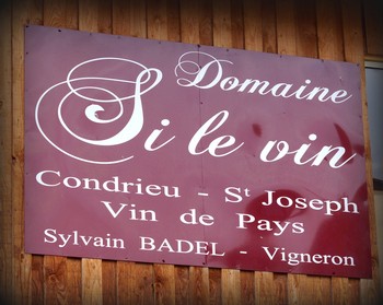 Si Le Vin Saint-Joseph Promesse 2016 Image