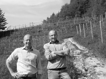 Maso Thaler Sudtirol 2019 Whites Deuce