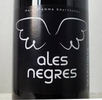 Terra Remota Ales Negres