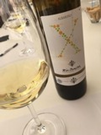Sao del Coster Albarino X 2015